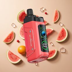 Razz Bar 45000パフ スイカアイス 調整可能な空気流量 卸売 日本