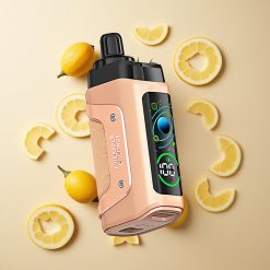 Razz Bar 45000パフ パイナップルココナッツ 調整可能な気流 卸売 日本